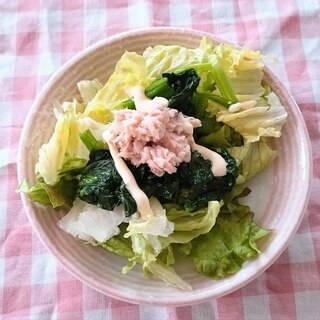 レタスとほうれん草のツナサラダ☆